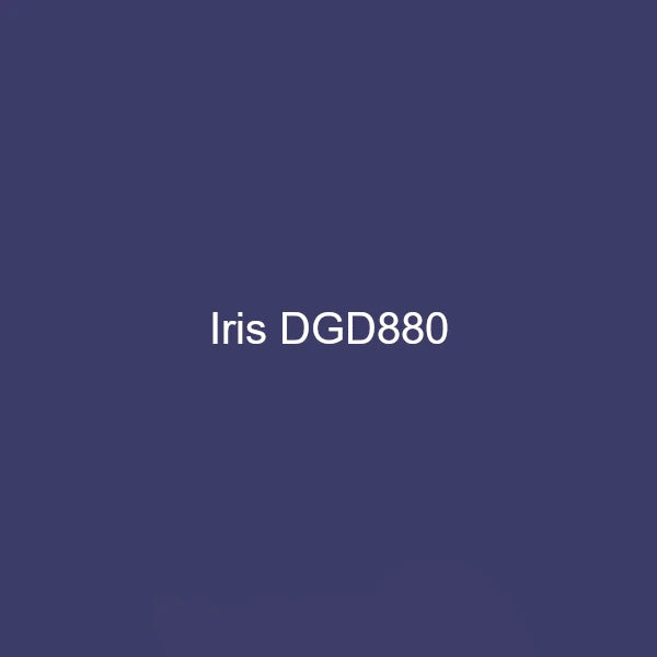 Pro Chemical Flying Ace Disc Golf Dye Kit