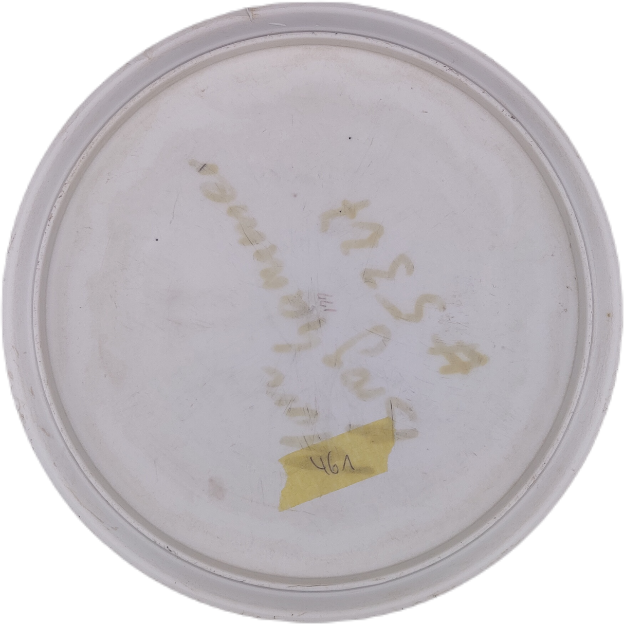 Discraft Marauder Base (Gebraucht: Zustand 4)