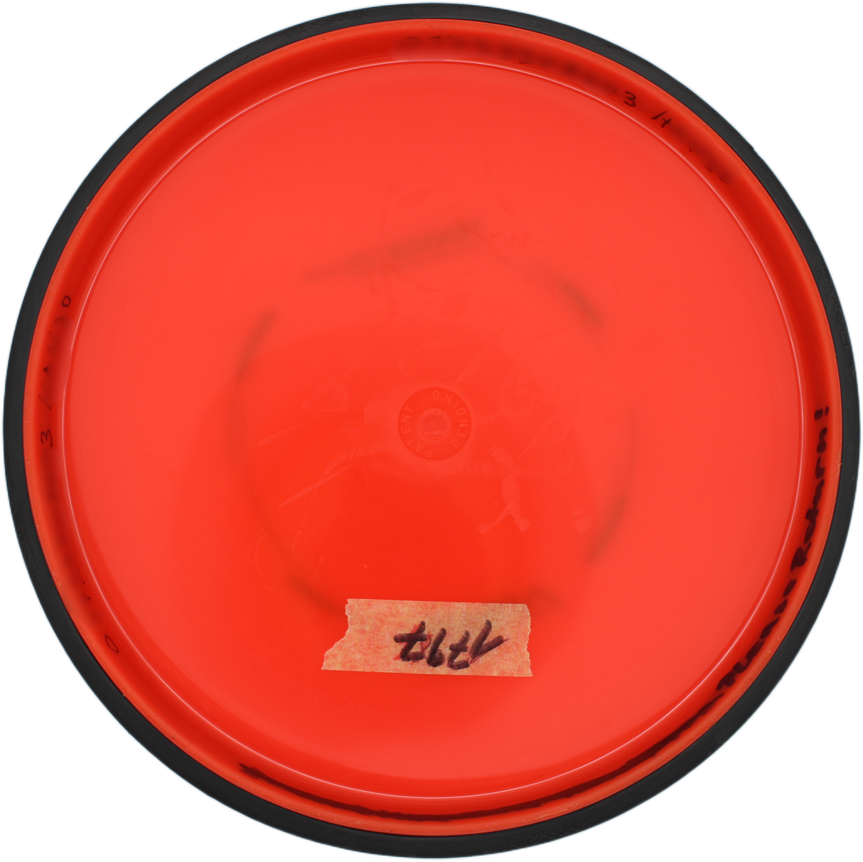 MVP Tensor | Neutron | Gebraucht: Zustand 7 |