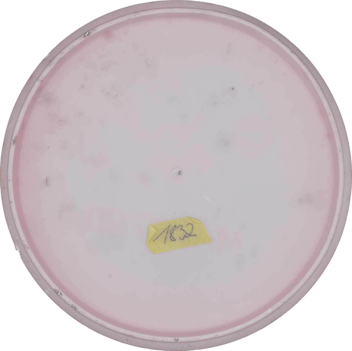 Discmania Maestro | Active Soft | Gebraucht: Zustand 4 |