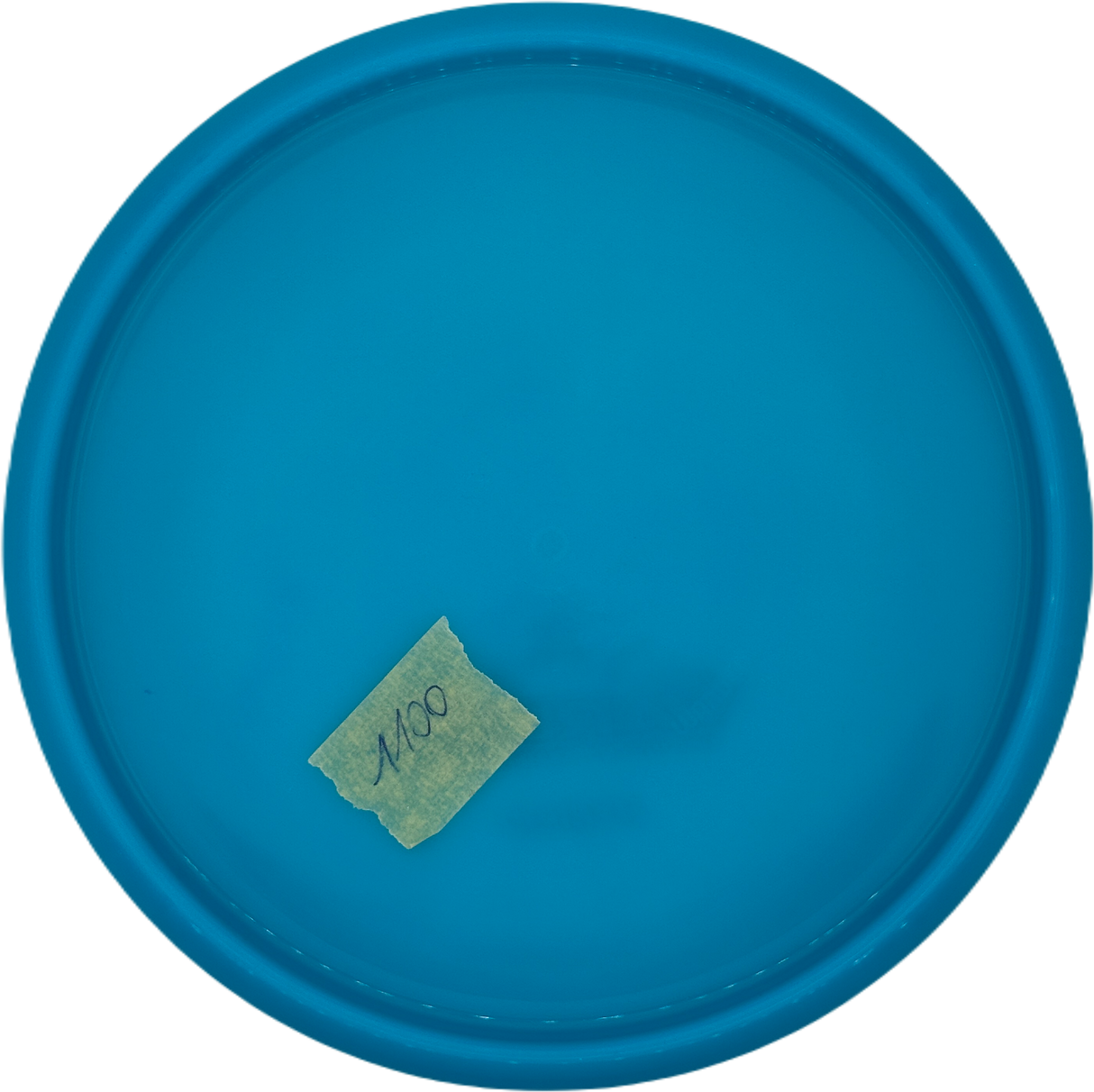 Dynamic Discs Warden Hybrid - A.J. Risley Team Series 2021 (Gebraucht: Zustand 9)