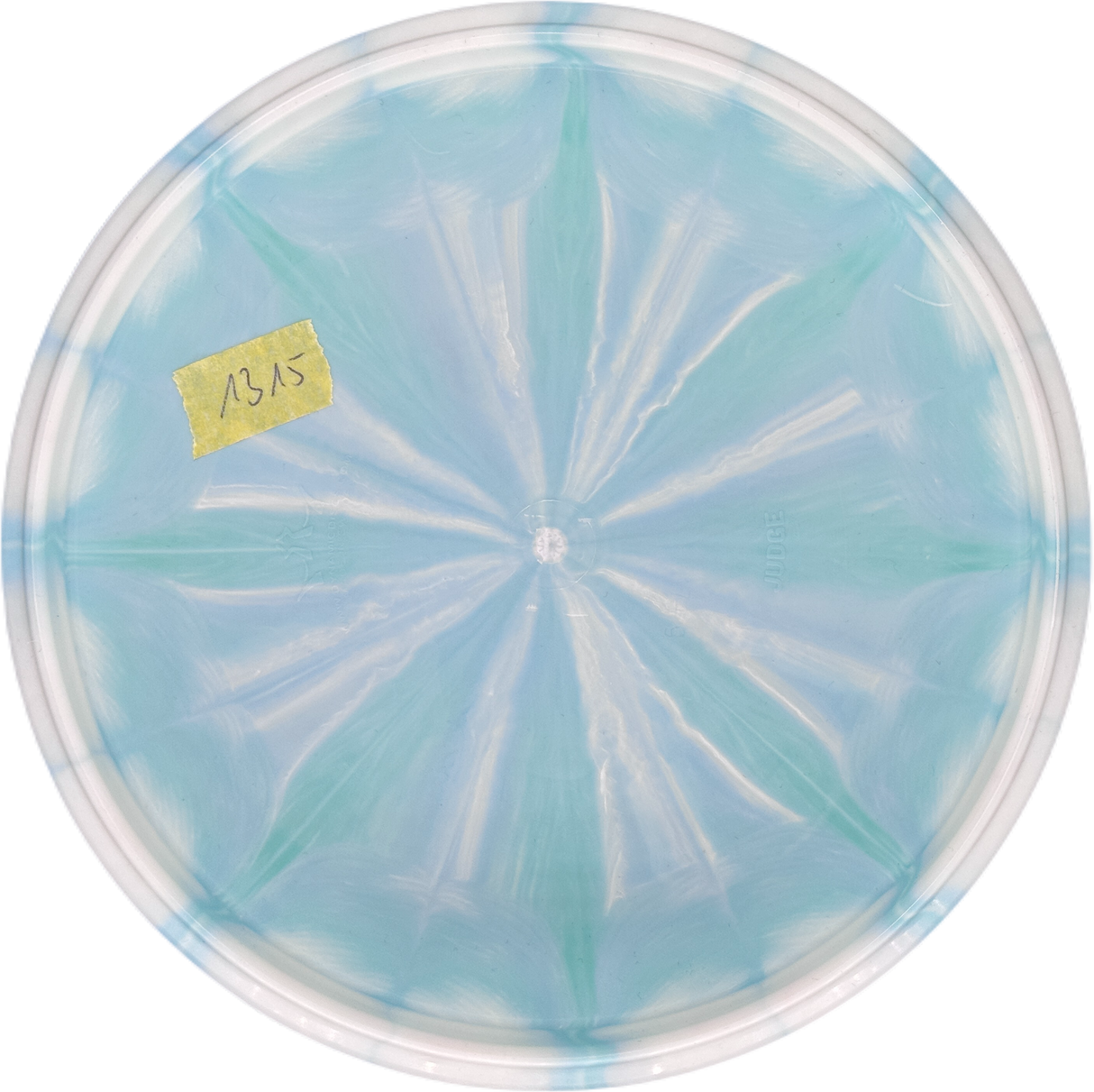 Dynamic Discs Judge Classic Burst (Gebraucht: Zustand 8)