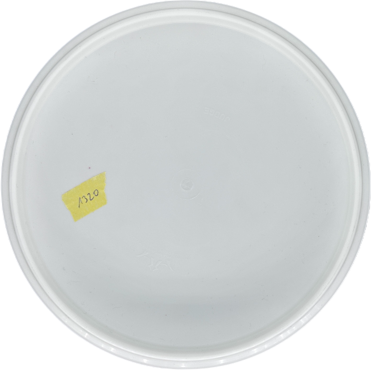 Dynamic Discs Judge Classic (Gebraucht: Zustand 10)