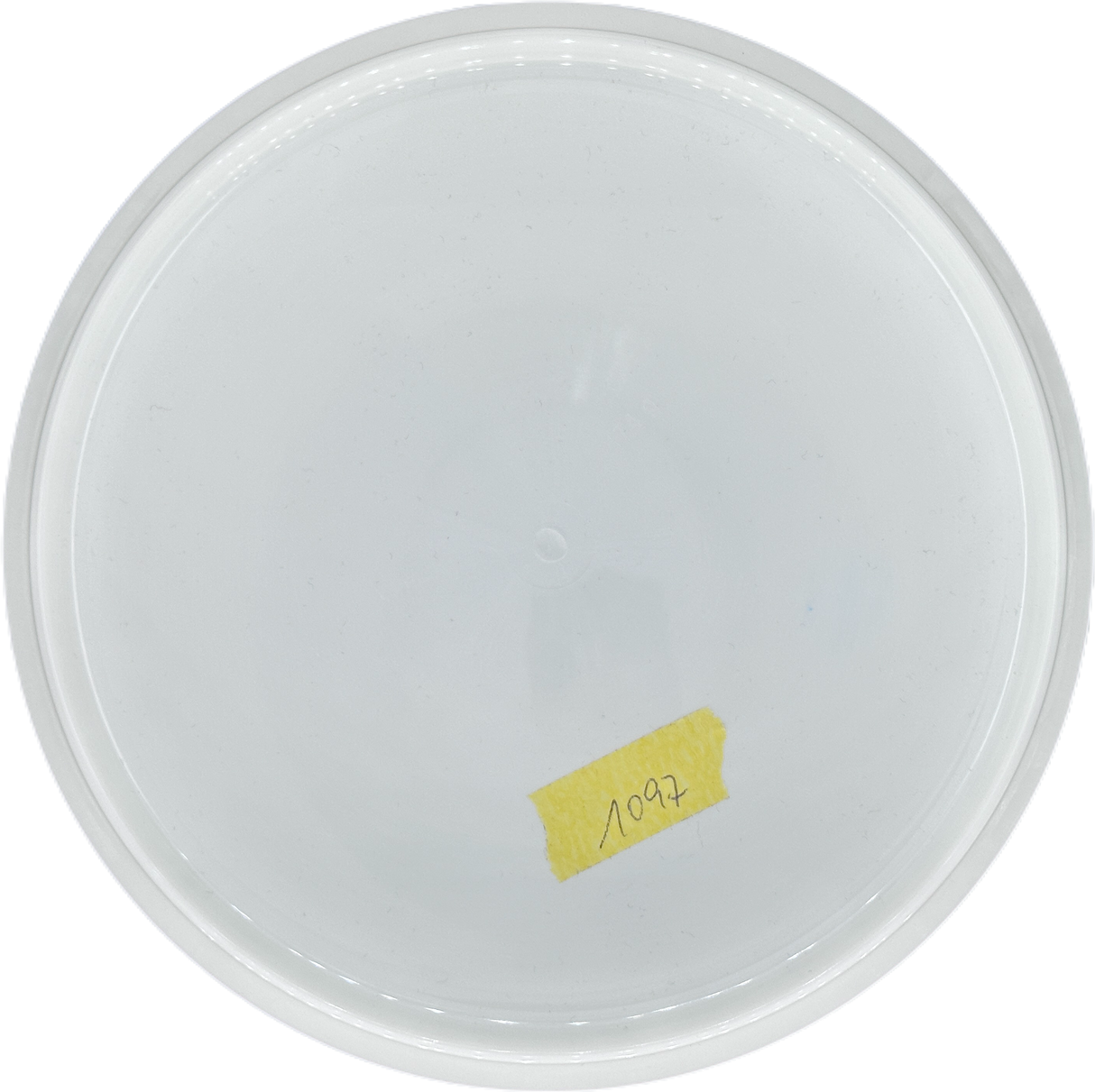 Latitude 64° Peak Royal Grand - Prototype (Gebraucht: Zustand 10)