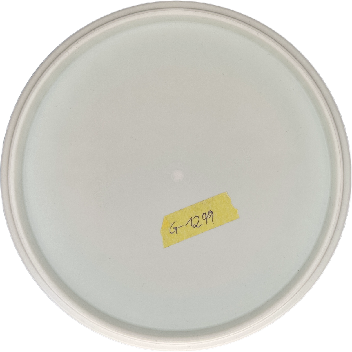 Dynamic Discs Judge Classic (Gebraucht: Zustand 8)