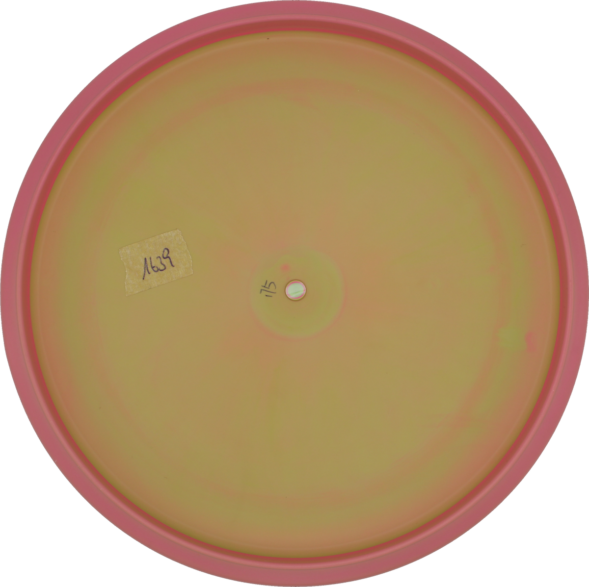 Prodigy Disc ACE Line P Model S | BaseGrip | Gebraucht: Zustand 10 |