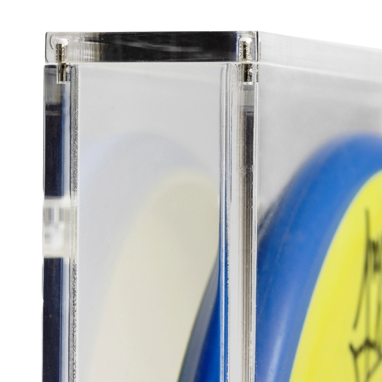 MVP Disc Frame