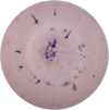 Dino Discs Tyrannosauros Rex Egg Shell