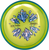 Axiom Hex Proton Soft OTB Open 2024