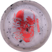 Doomsday Discs Blackout Biohazard