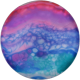 Dye ITC Discs Mercury Silver First Run