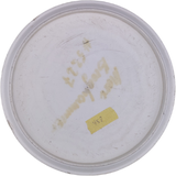 Discraft Marauder Base (Gebraucht: Zustand 3)