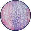 Axiom Proxy Soft Neutron - Cell Dye