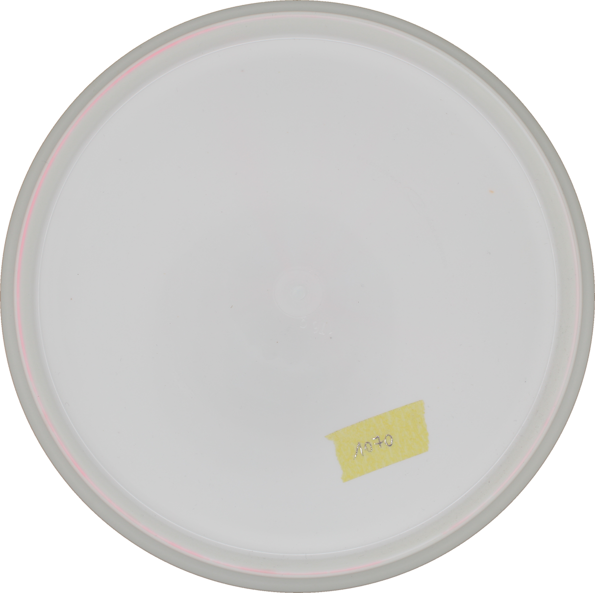 Latitude Pure Kristin Tattar Team Series V.2 2021 | Gold-X | Gebraucht: Zustand 10 |