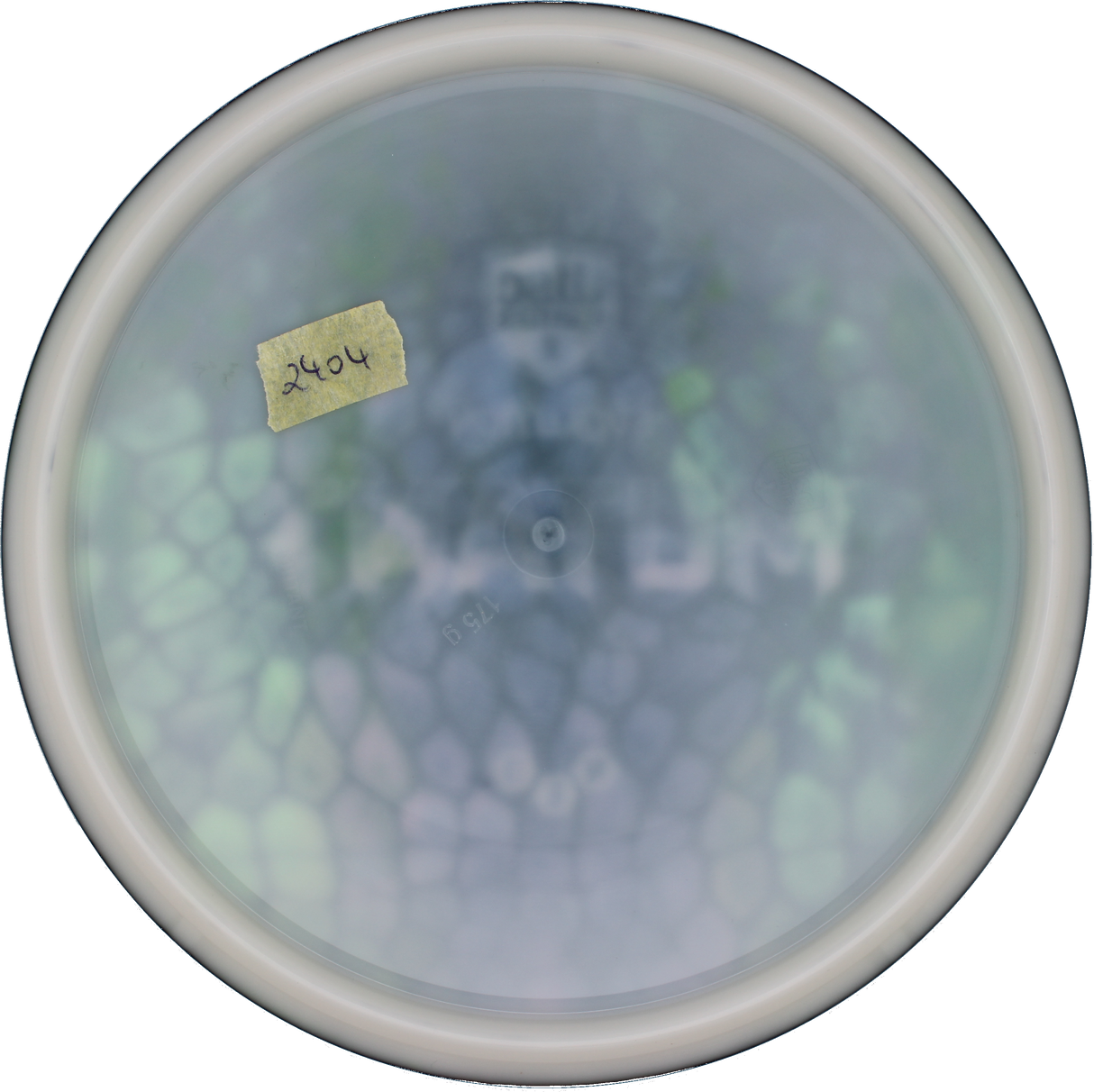 Discmania Mutant - Cell Dye | Neo | Gebraucht: Zustand 9 |