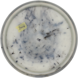 Doomsday Discs Desolation | Radioactive Waste | Gebraucht: Zustand 7 |