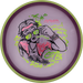 Axiom Hex - 2026 OTB Open | Particle Proton Soft