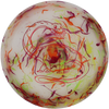 Dino Discs Brachiosaurus Egg Shell