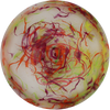 Dino Discs Brachiosaurus Egg Shell