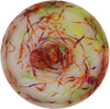 Dino Discs Brachiosaurus Egg Shell