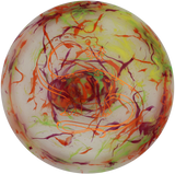 Dino Discs Brachiosaurus Egg Shell