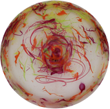 Dino Discs Brachiosaurus Egg Shell