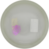 Discmania Magician | Active Glow Premium | Gebraucht: Zustand 9 |