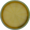 Axiom Insanity Proton (Gebraucht: Zustand 6)