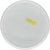 Dynamic Discs Judge Classic Moonshine - Chris Clemons (Gebraucht: Zustand 9)
